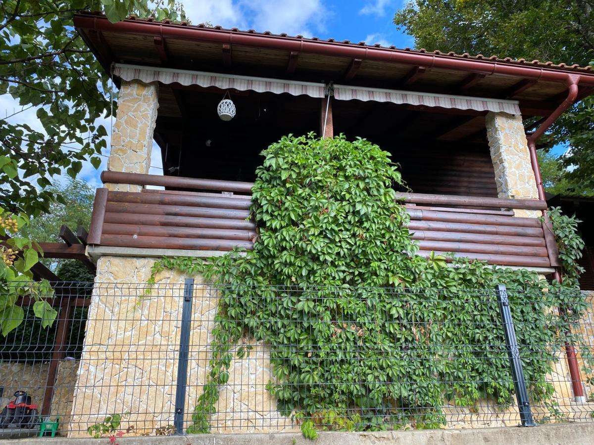 4Trees Holiday House Слунь Екстер'єр фото