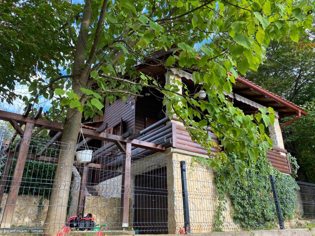 4Trees Holiday House Слунь Екстер'єр фото